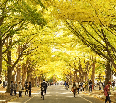 難関国公立大学コース